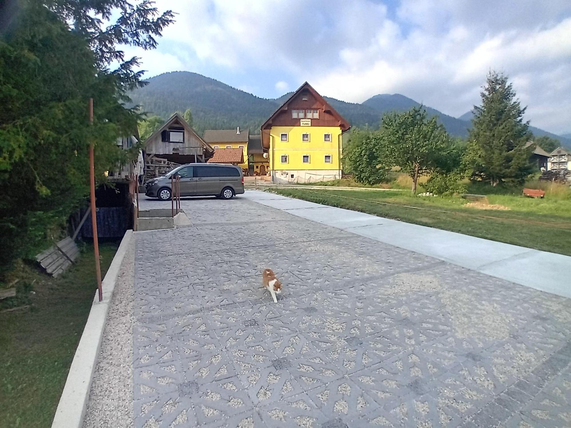 B&B Family Room Tubej Bohinj Esterno foto